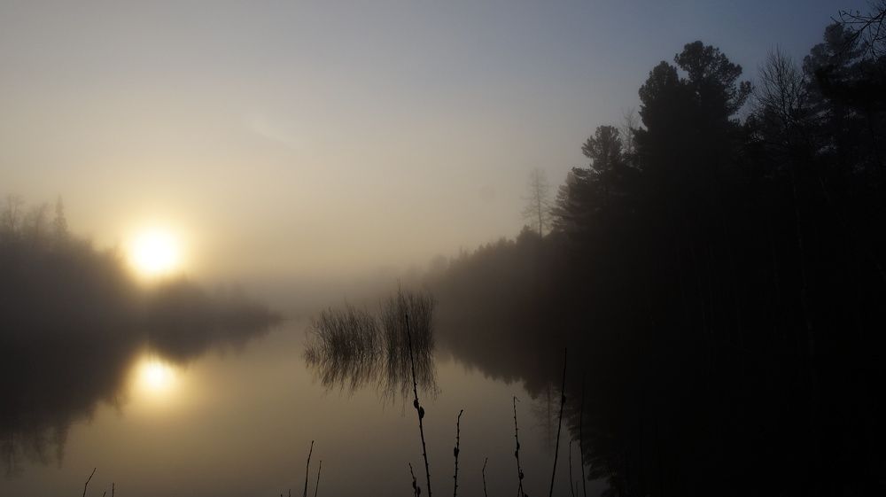 туманное ВЕСЕННЕЕ УТРО