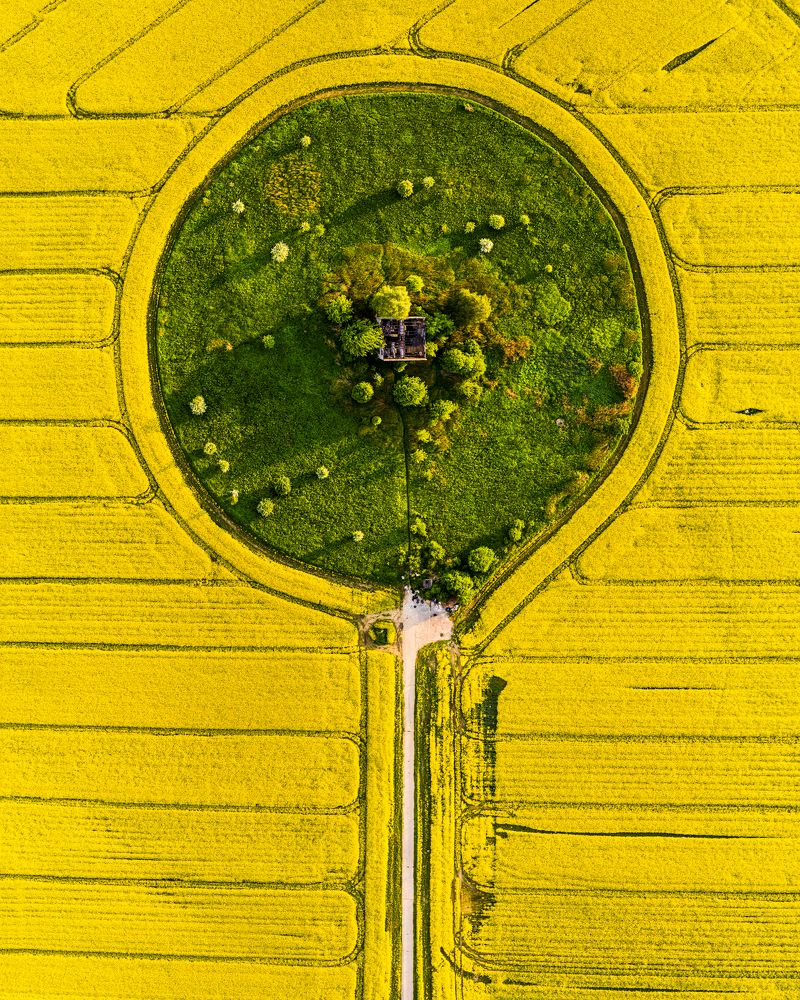 Фотография автора Krzysztof Kościesza