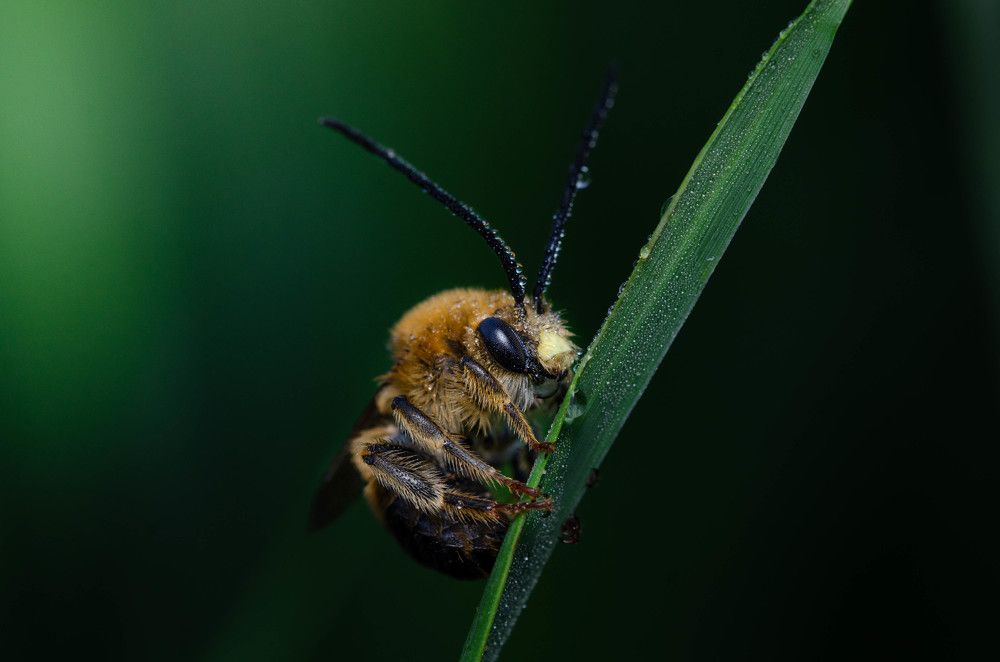 Photograph by Андрей Лысаченко