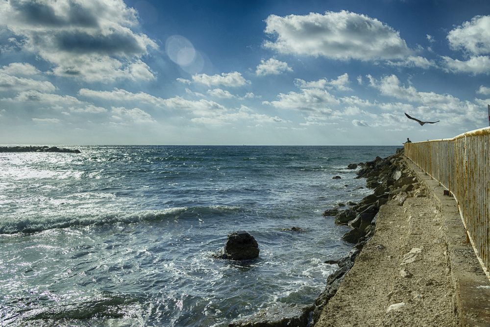 Photograph by Владимир Бутов