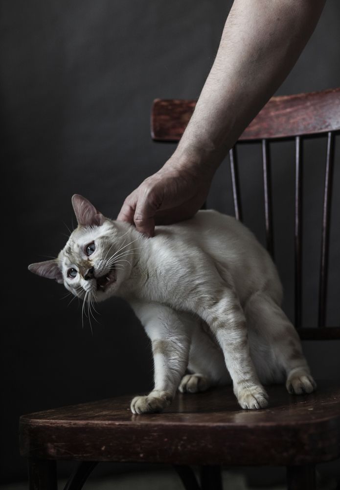 Photograph by юлия некрасова