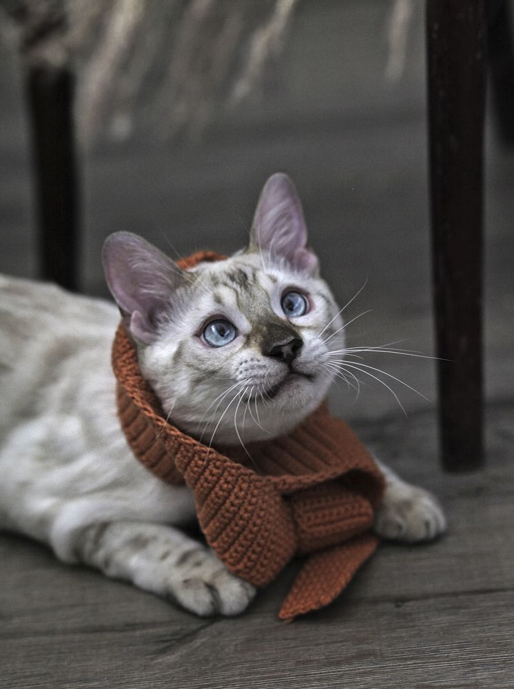 Photograph by юлия некрасова