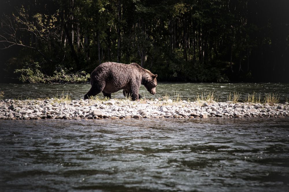 Photograph by Veronika Trubnikova