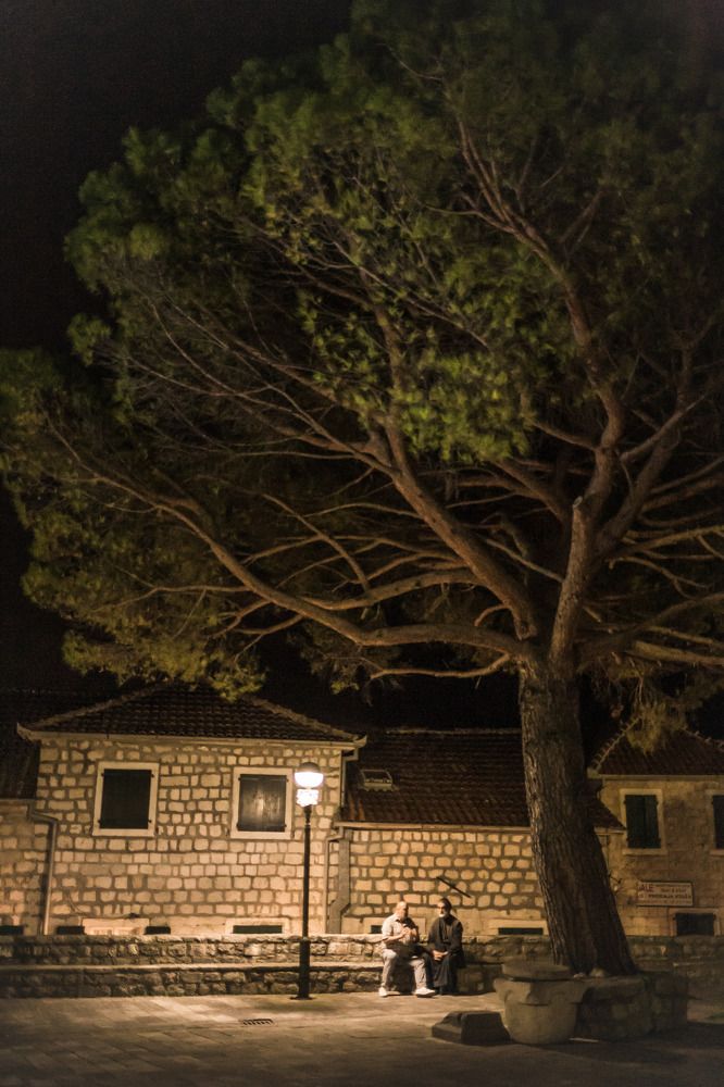 Photograph by Veronika Trubnikova