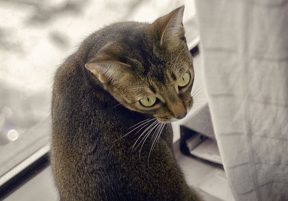 Don't disturb  me please!