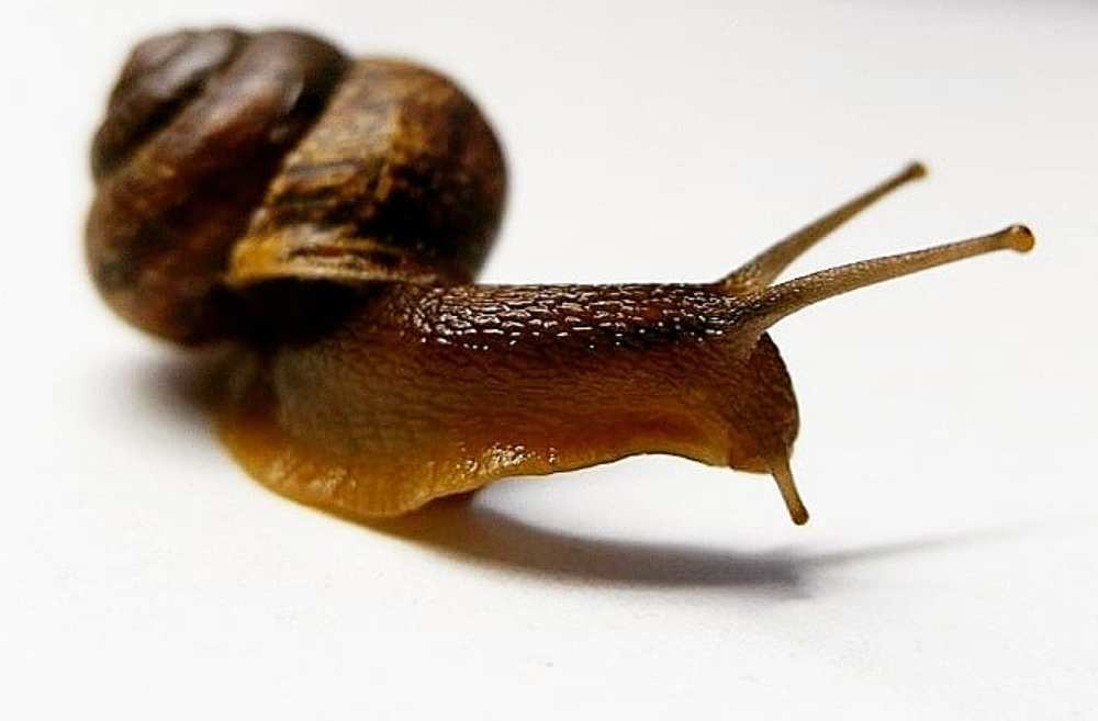 Photograph by Янина Найденцева