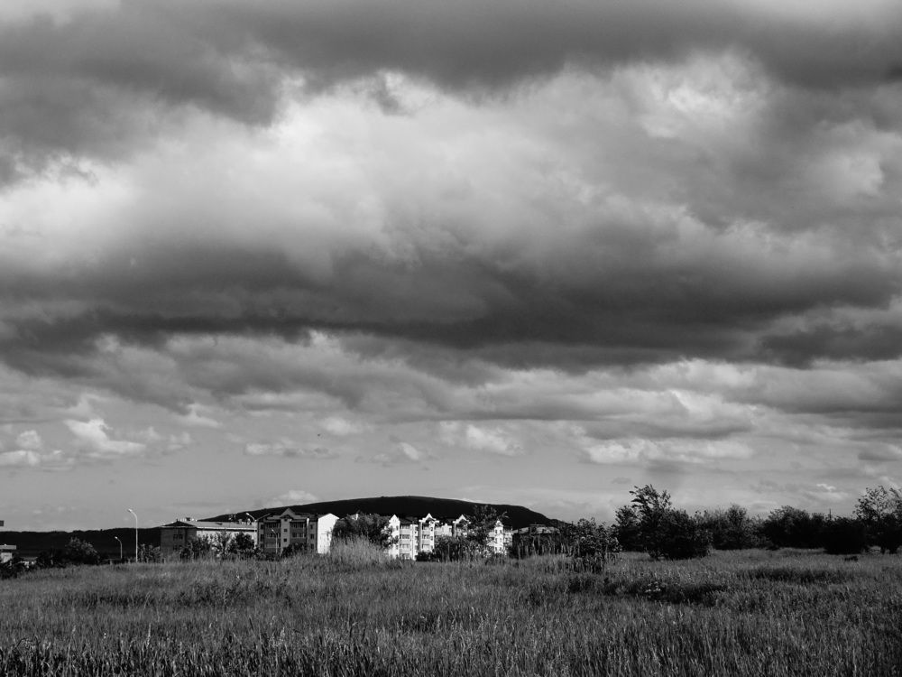 Photo #6169736