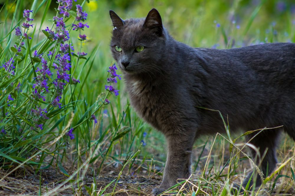 Photograph by Arthur Khachatryan