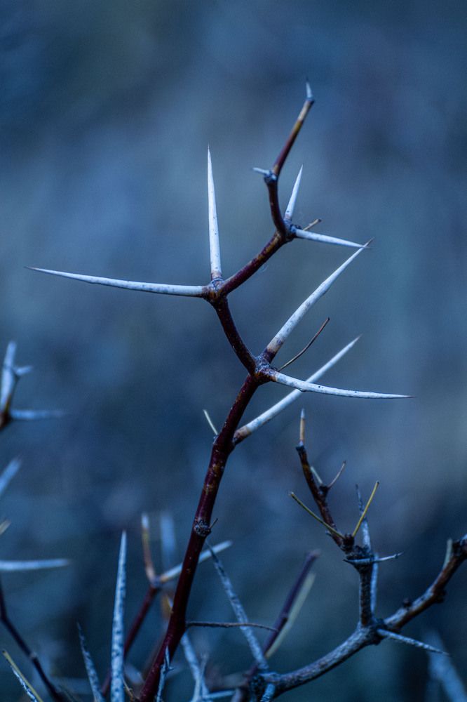 Фотография автора Andrés Ortega