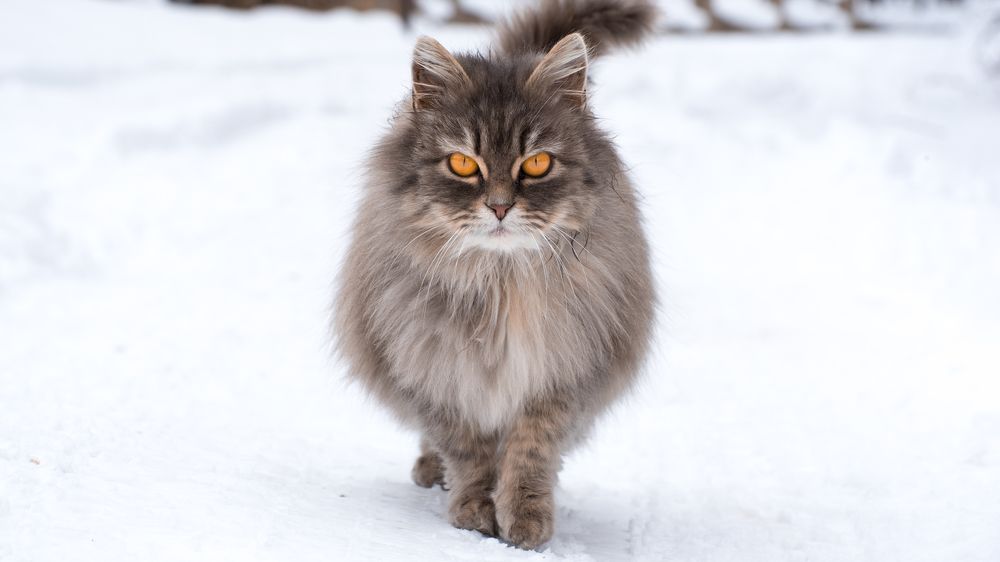 Photograph by Андрей Дмитров