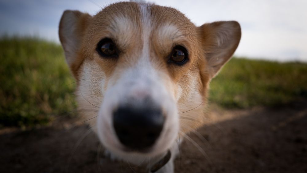 Photograph by Андрей Дмитров