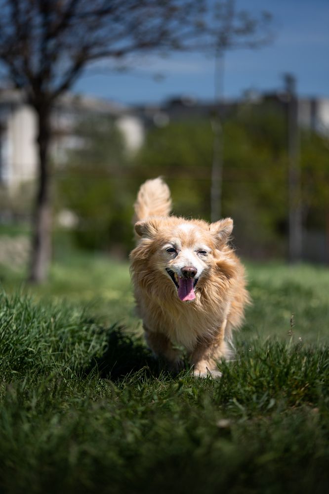 Photograph by Андрей Дмитров