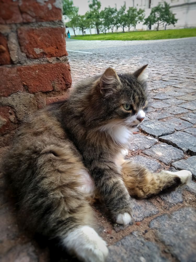 Photograph by Алексей Копылов