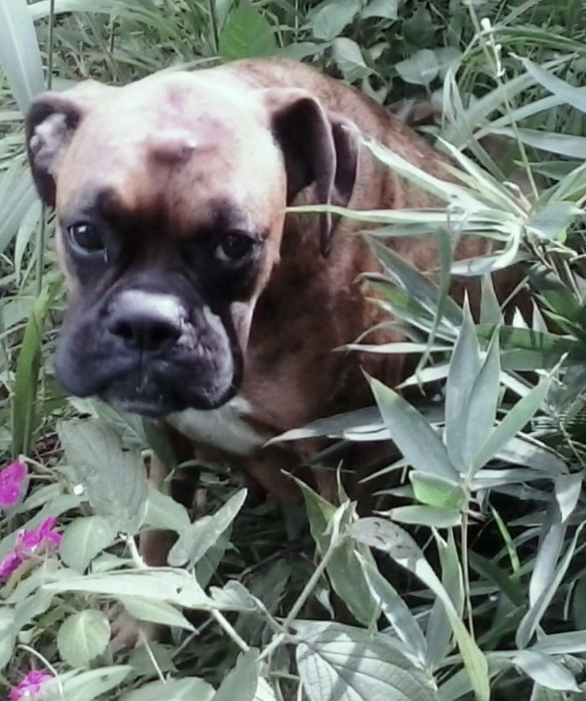 Photograph by Julio Cesar Almeida