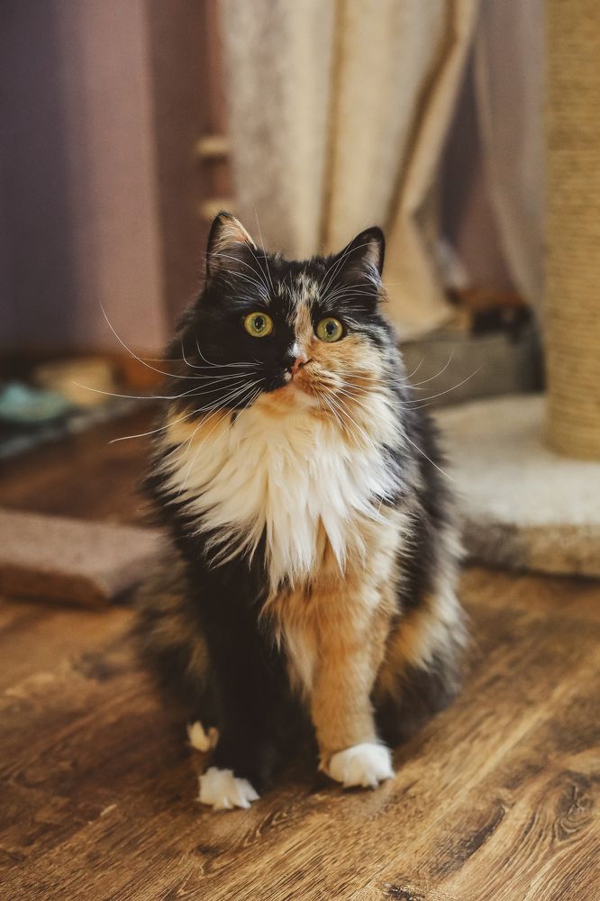 Photograph by Евгения Пугачева