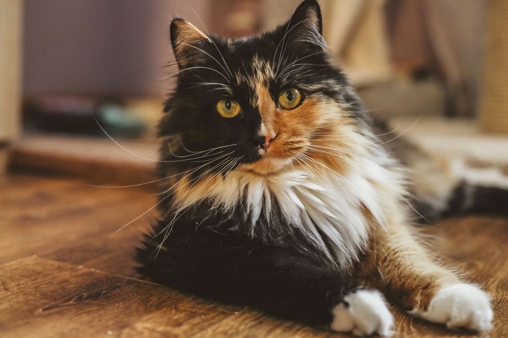 Photograph by Евгения Пугачева