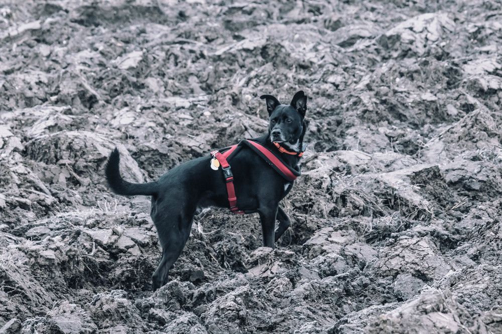 Photograph by Ľuboš Pítek