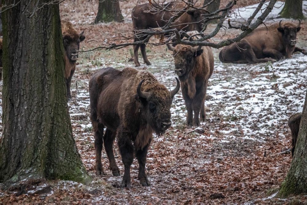 Photograph by Ľuboš Pítek