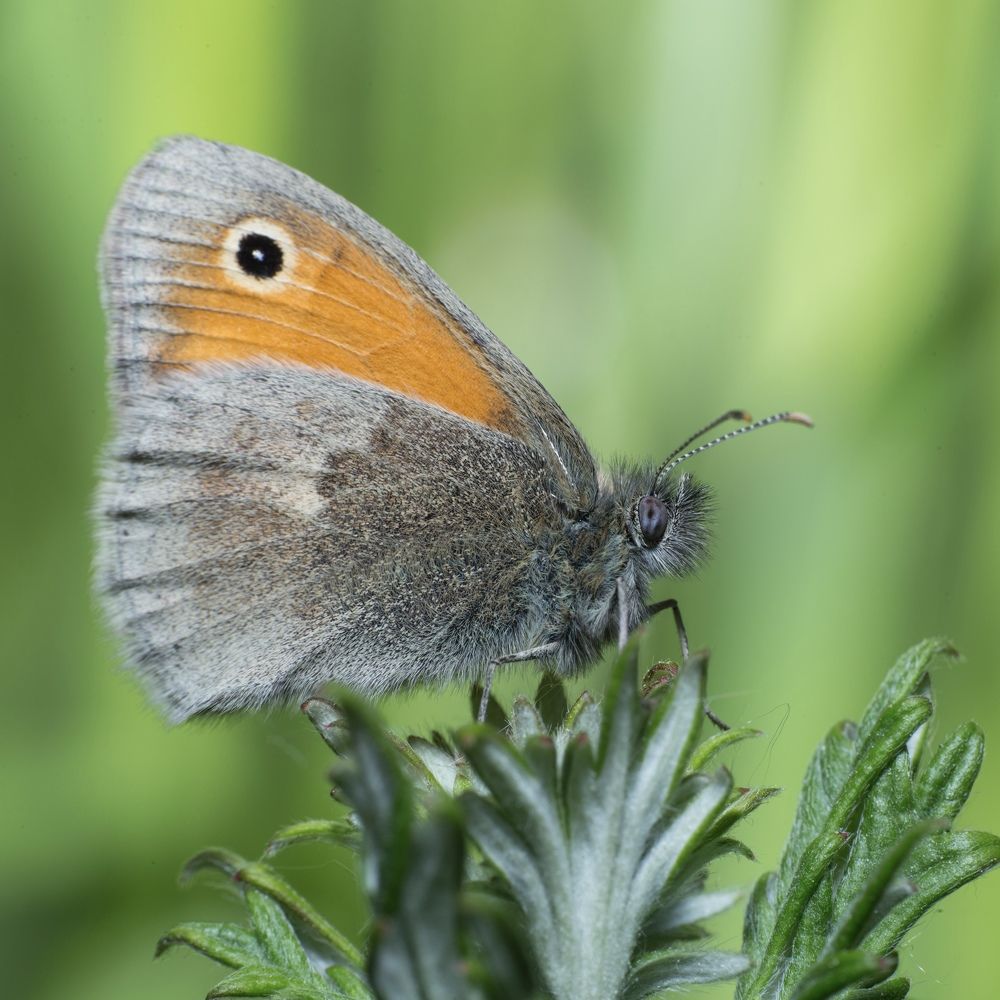 Photograph by Михаил