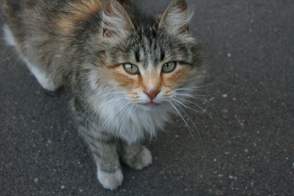 Photograph by Антон Корольков