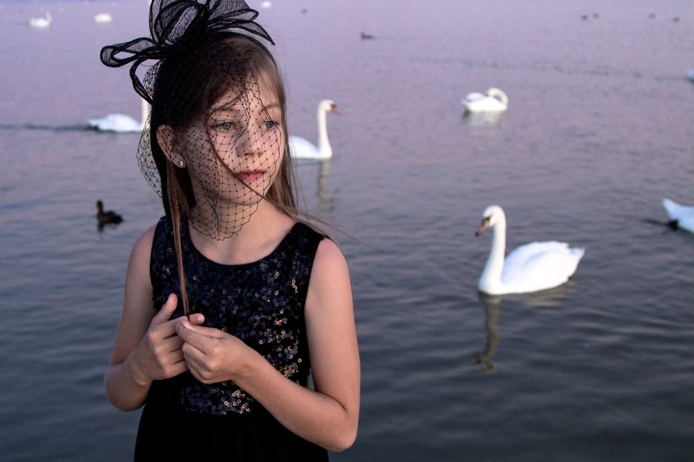 Чёрная лебедь