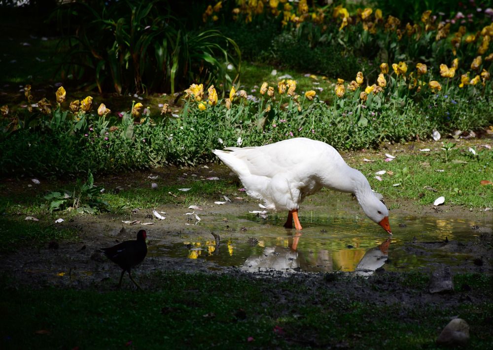 Photograph by Рамиль