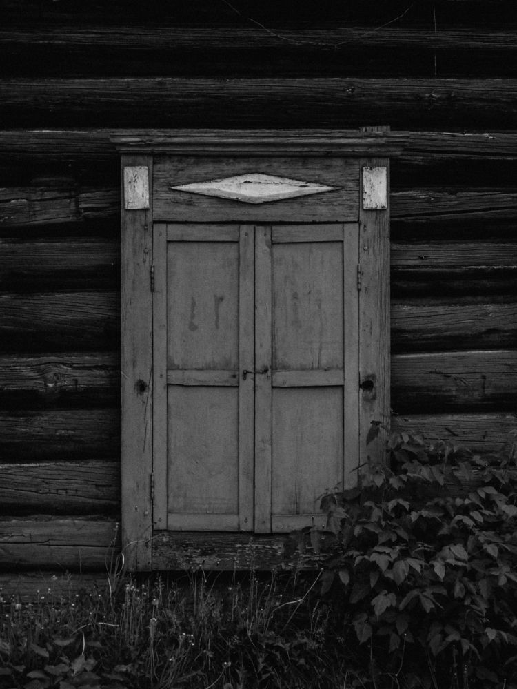 Photograph by Анастасия Хованская