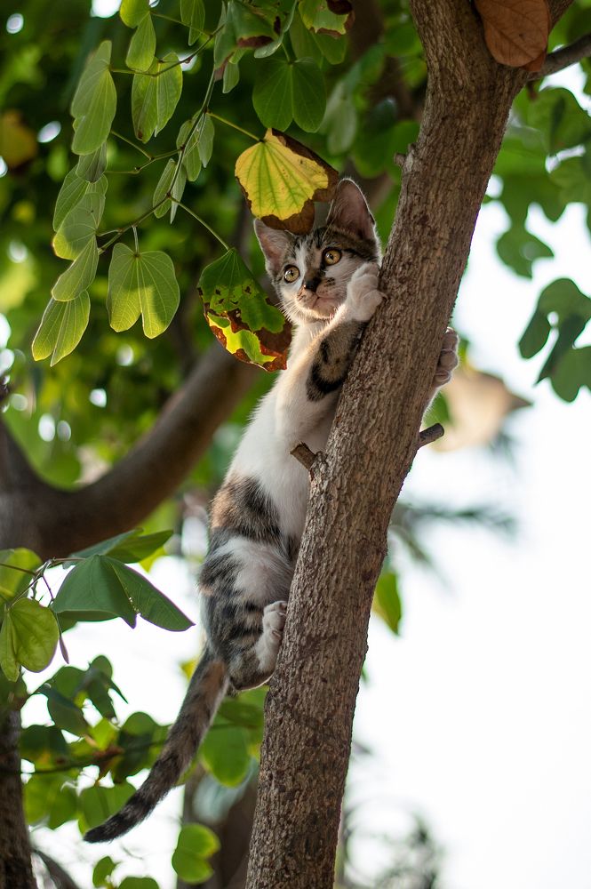 Photograph by Cuong Le Tien