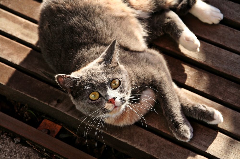 Photograph by Иосиф Ванюшенко