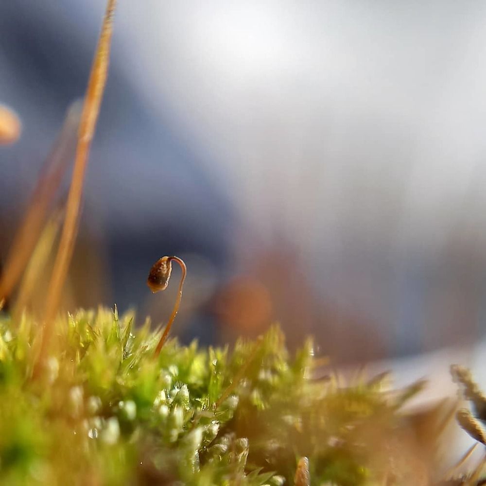 Photograph by Юлия Гудкова