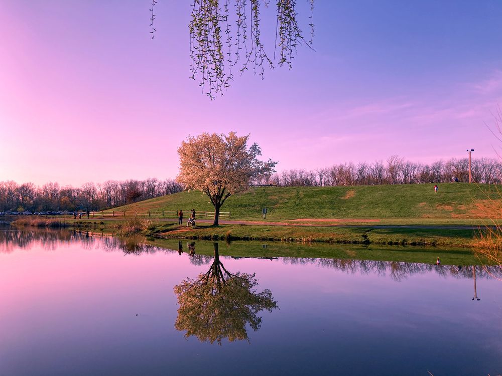 Photograph by Gargee Chowdhury