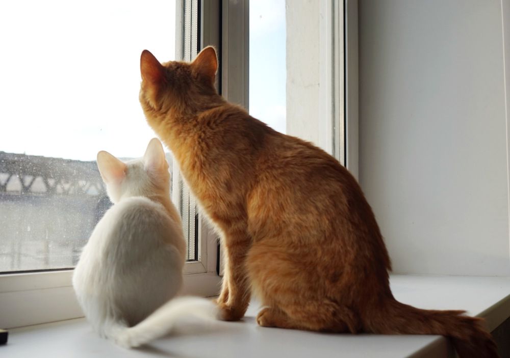 Photograph by Ирина Маркина