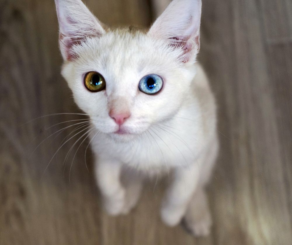 Photograph by Ирина Маркина