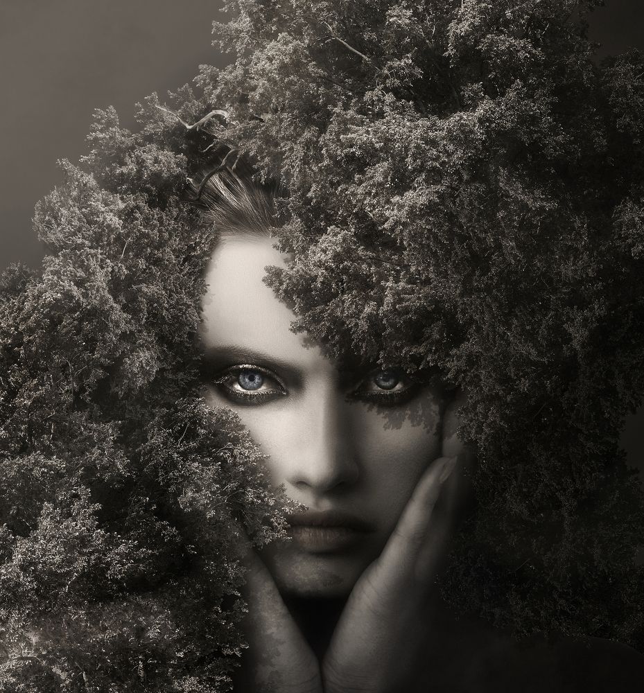 Photograph by KAWAKAMI KAZUTOSHI