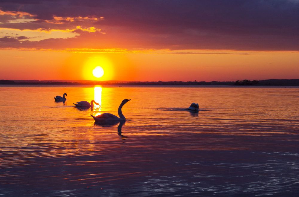 Photograph by Светлана Зыгмантович