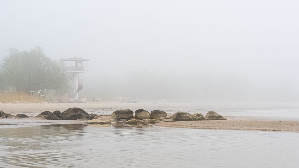 Photograph by Silja Tamme