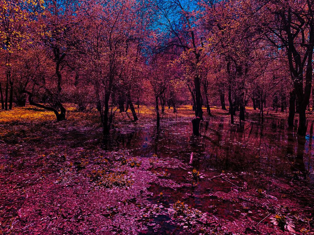 Photograph by Дмитрий Скрыльников