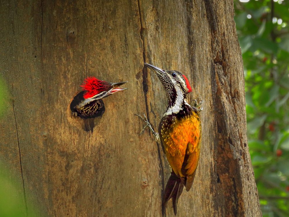 The story of two generations