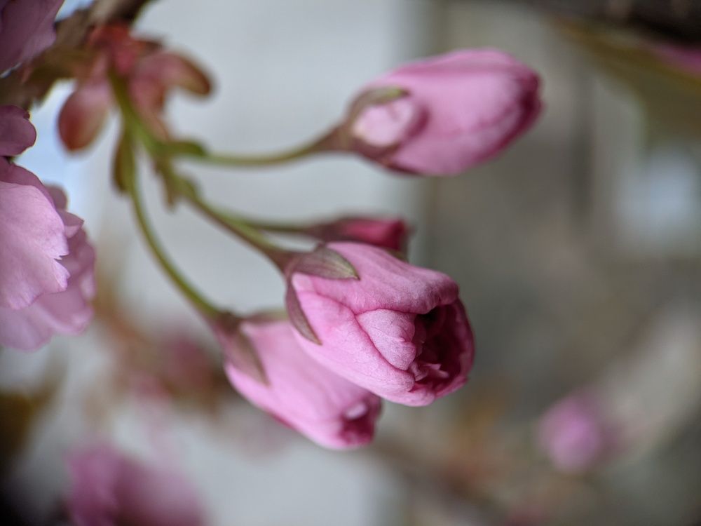 Photograph by Денис