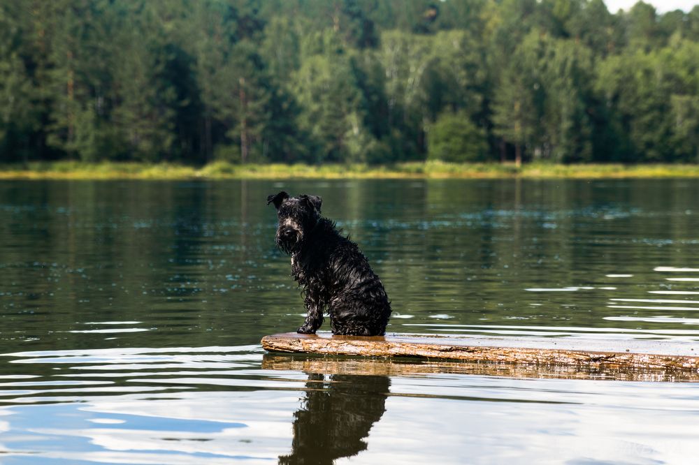 Photograph by Эрика Мареева