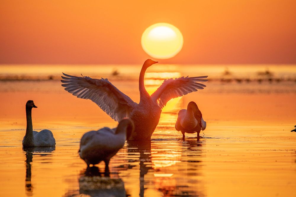 Photograph by Андрей Ляуман