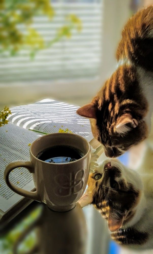 Photograph by Елена Бохолдина