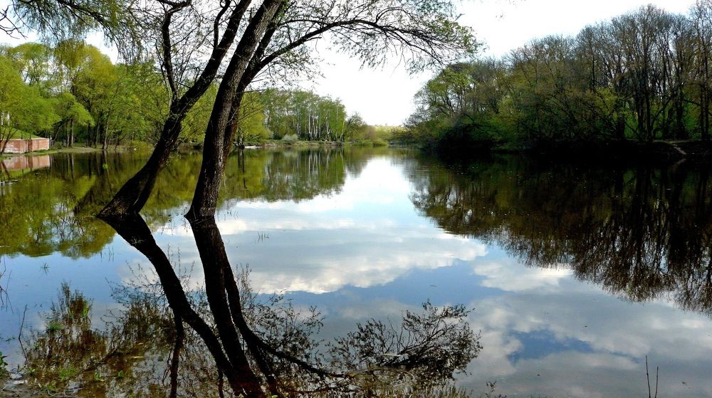 Photograph by леонид натапов