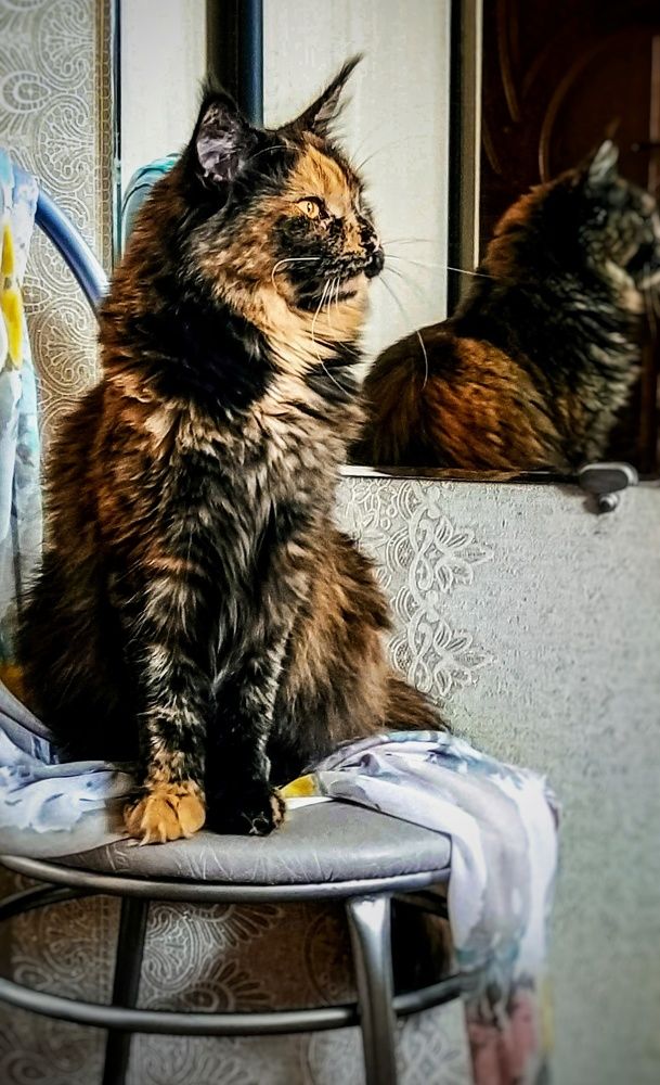 Photograph by Елена Бохолдина