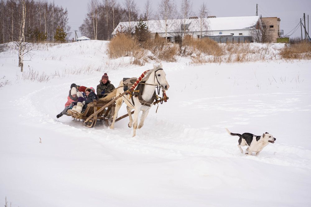 Photograph by Svetlana Reshetnikova