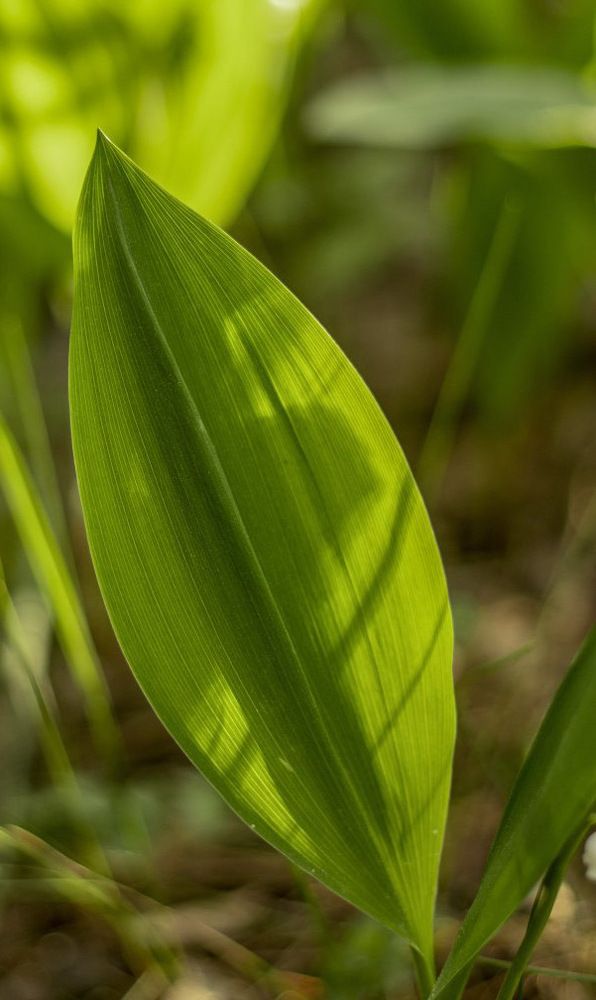Photograph by Анастасия Биончик