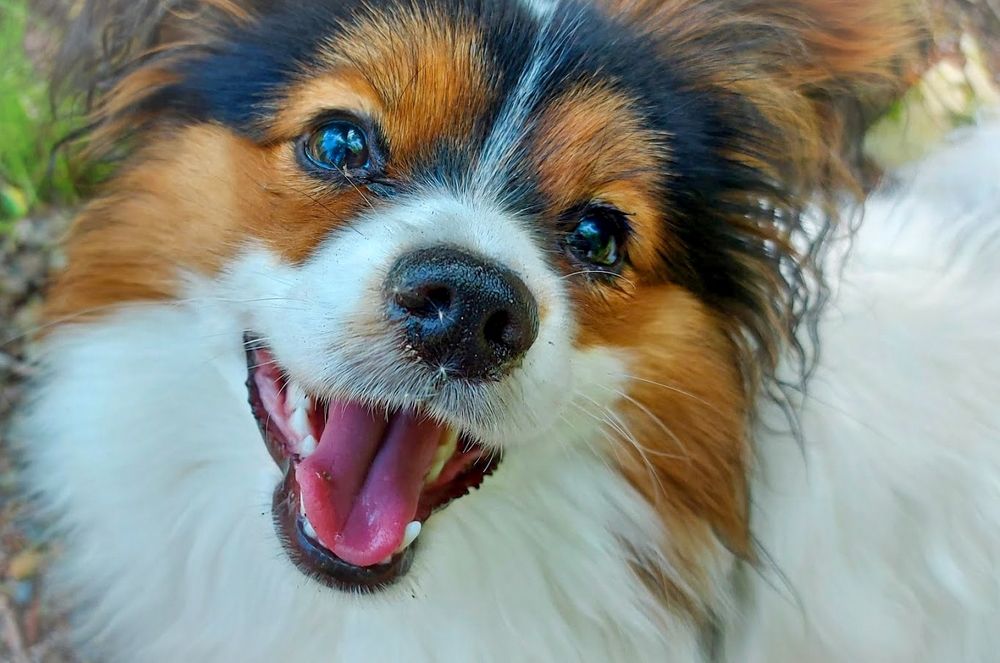 Photograph by Epp Tappel