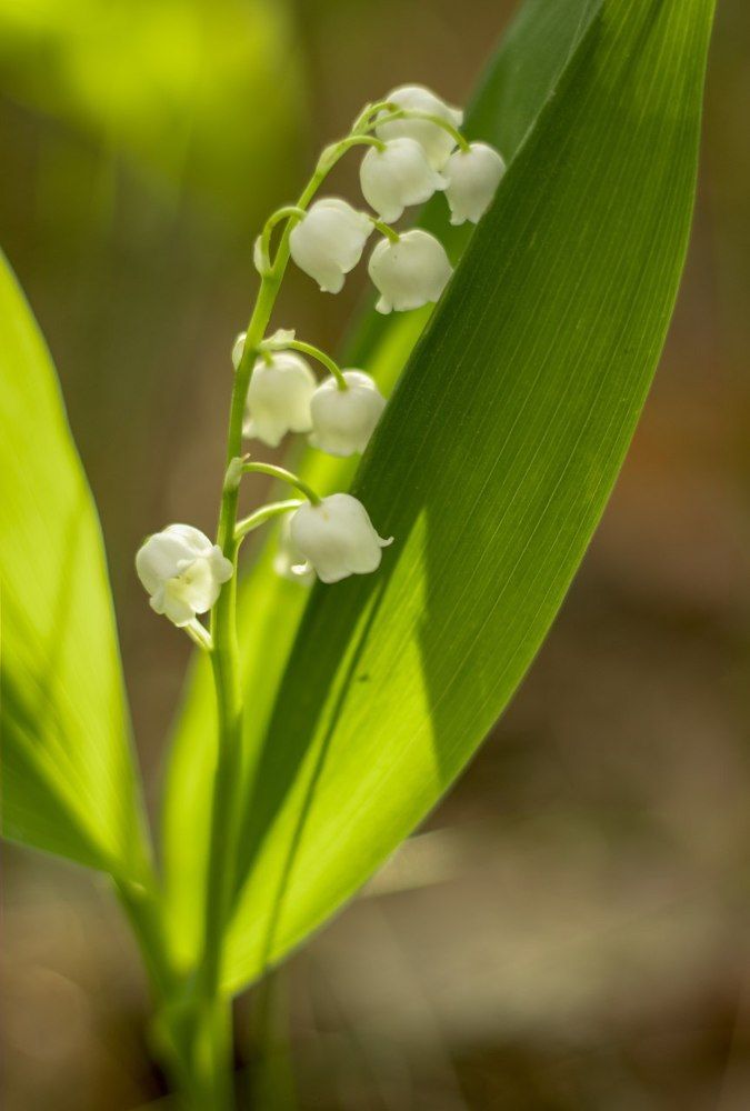 Photograph by Анастасия Биончик