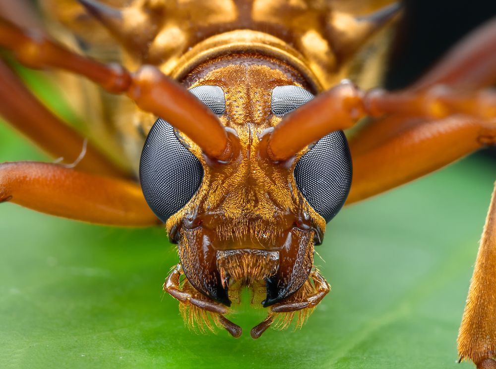 Photograph by VOON YIAN KHIAM