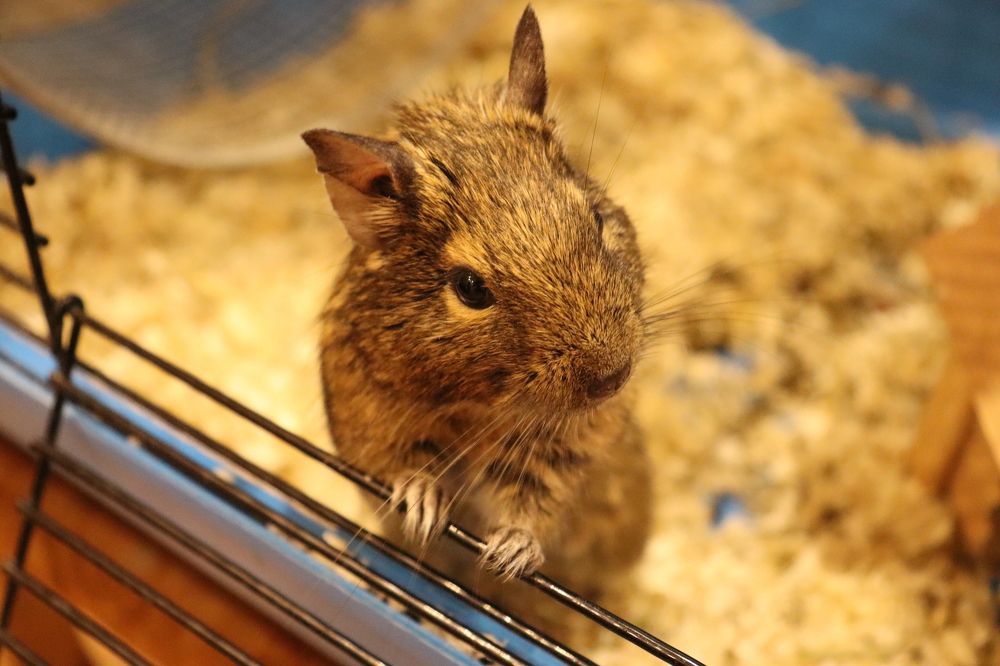 Photograph by Иван Белянин